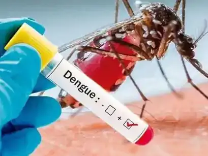 आगरा के बड़ोवरा कला में डेंगू का कहर: दो बच्चों की मौत, 7 नए मामले सामने आए, स्वास्थ्य विभाग अलर्ट