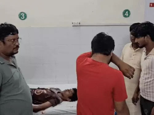 आगरा में दर्दनाक हादसा: सड़क पर आई गाय से टकराई बाइक, 15 साल के किशोर की मौत, साथी घायल