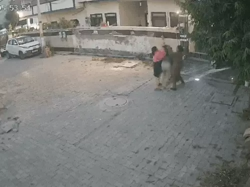 Agra Crime: जगदीशपुरा में महिला टीचर की दबंगई; युवती के सिर पर डंडा, वीडियो वायरल